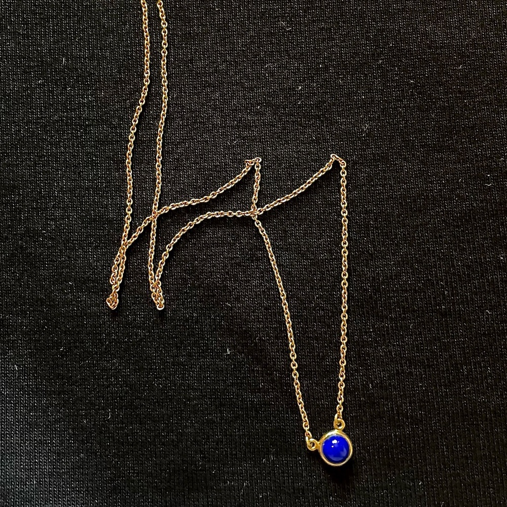 ✨ Elsa Peretti for Tiffany & Co.✨ 18k Gold Lapis Lazuli Necklace ✨ NWOT ✨ RARE ✨ - Picture 2 of 5